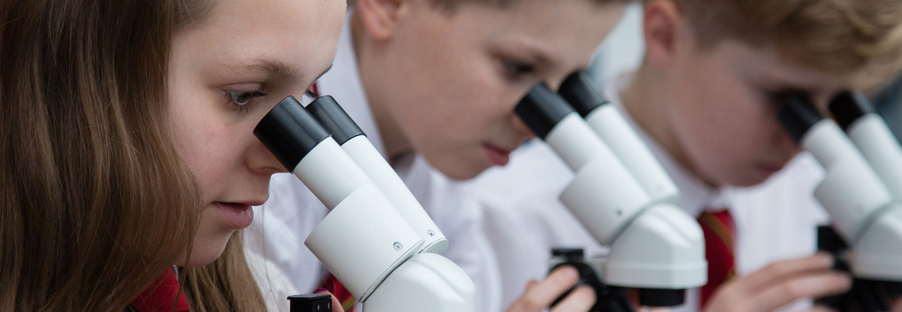 Pupils look through microscopes
