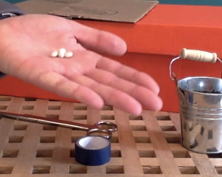 Grid image showing hand with seeds, a box and scissors