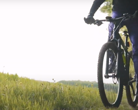 Grid image showing green field and a bike