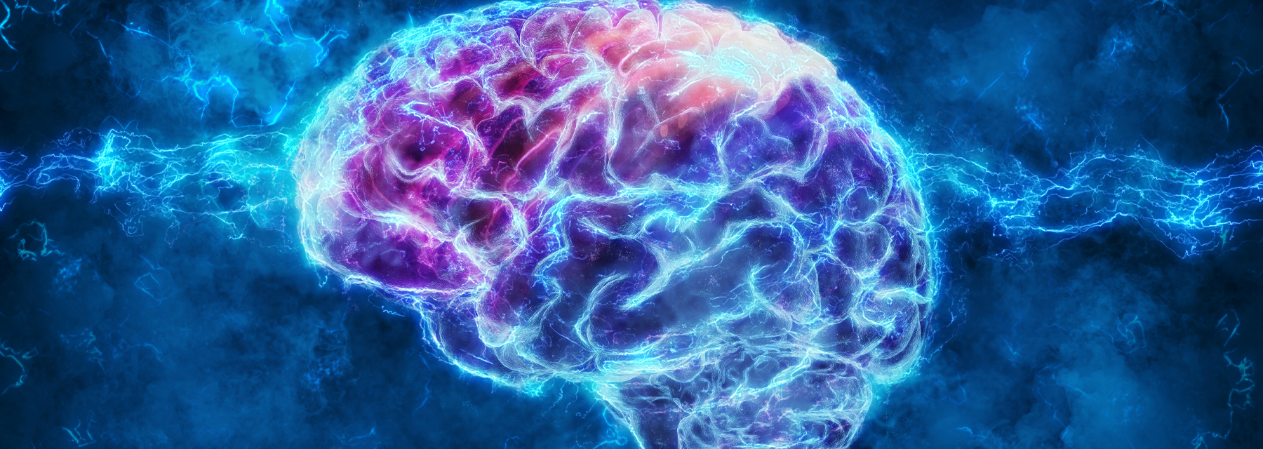 A Spark of Science Your Flexible Brain Glasgow Science Centre