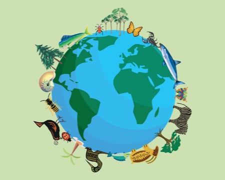 Logo showing world with animals around it