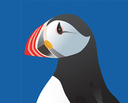 An illustration of a puffin
