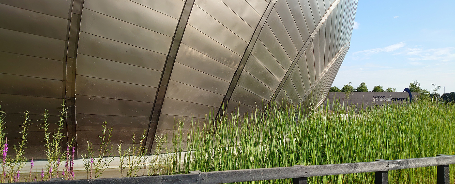 The silver dome of the IMAX building surrounded by green and purple wetland plants