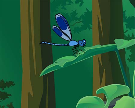 Illustration of woodland undergrowth and a blue dragonfly