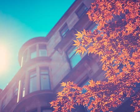 A Glasgow tenement in the sunshine with the leaves of a tree in foreground.