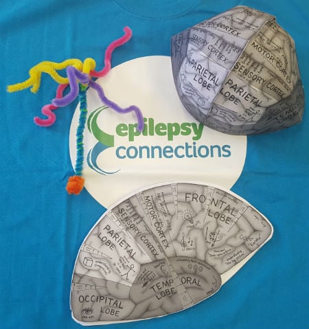 Epilepsy Connections - Pipe Cleaner Neuron and 'cut-out' brain model
