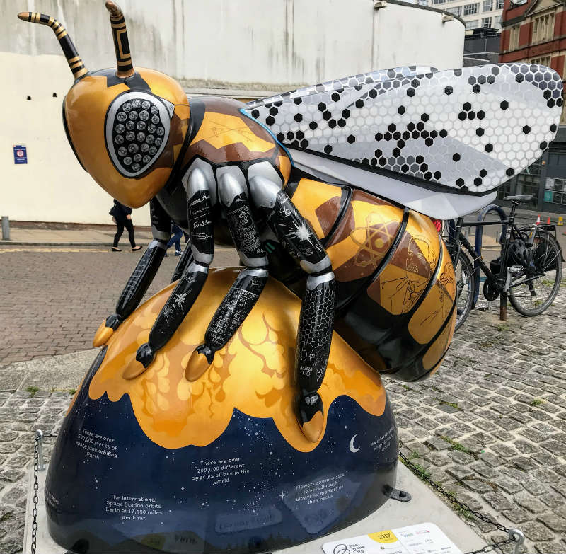 The STEM Bee science communication sculpture by artist, Kelly Stanford