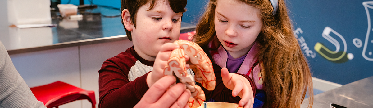 two children interacting with an expert's demonstration of a brain