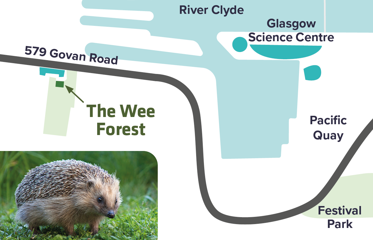 Map of Wee Forest Govan Road location