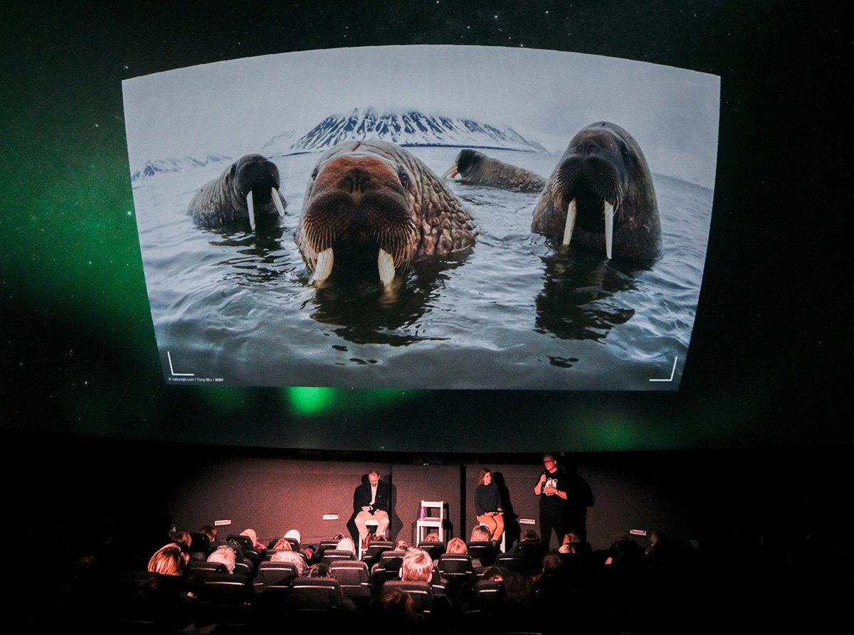 A photograph shows walruses projected onto the dome of the Planetarium with the audience looking up to them. Image credit: UKRI