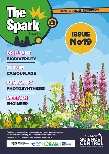 The Spark Issue 19 - front cover of magazine