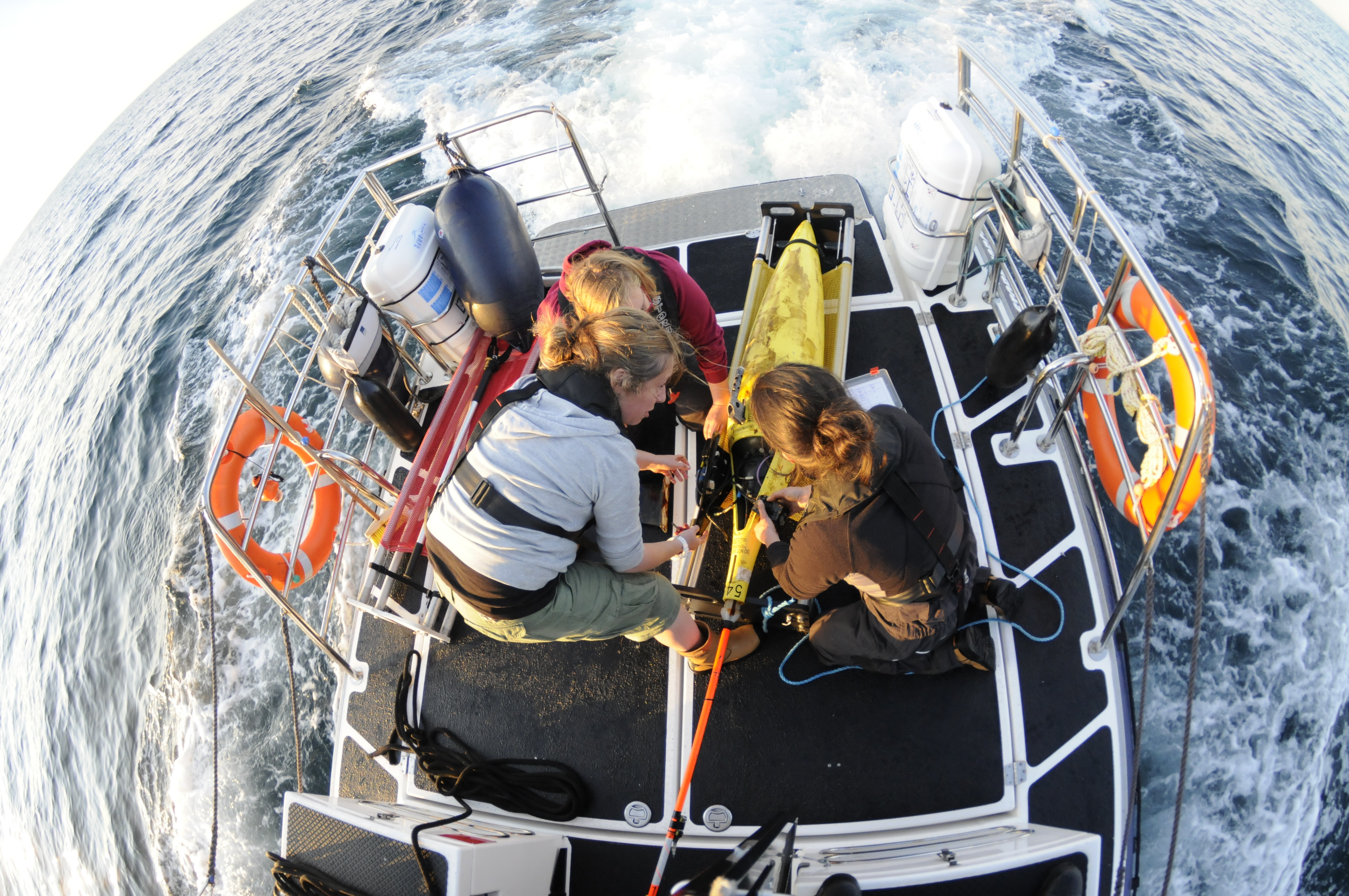 Image showing boat in ocean