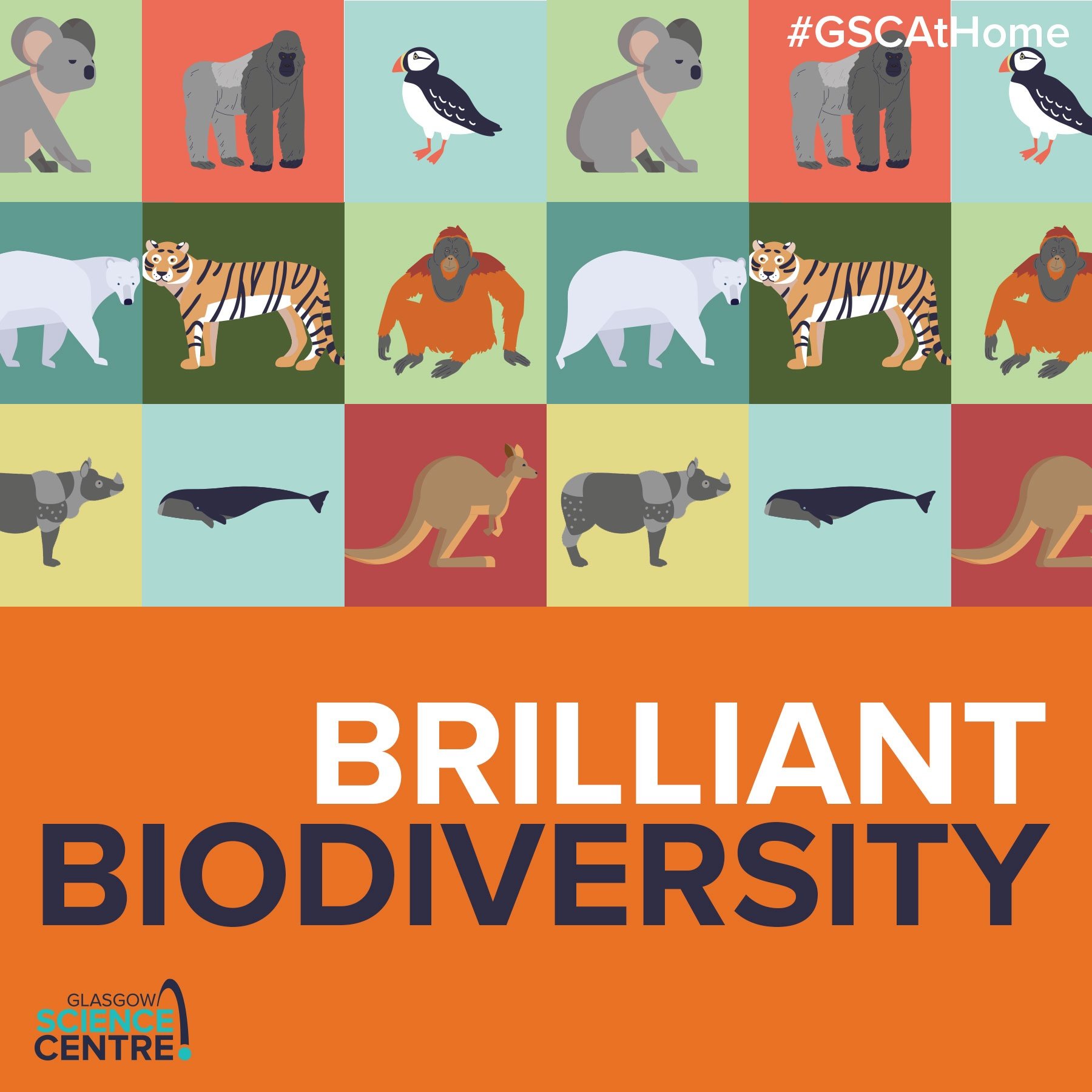 An illustrated graphic shows a variety of animals and the title, Brilliant Biodiversity