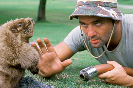 A man lies on a golf green facing a gopher.