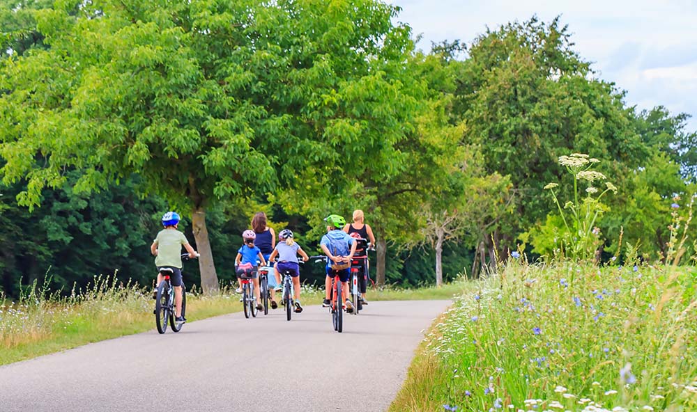 A family cycling along a path in a park