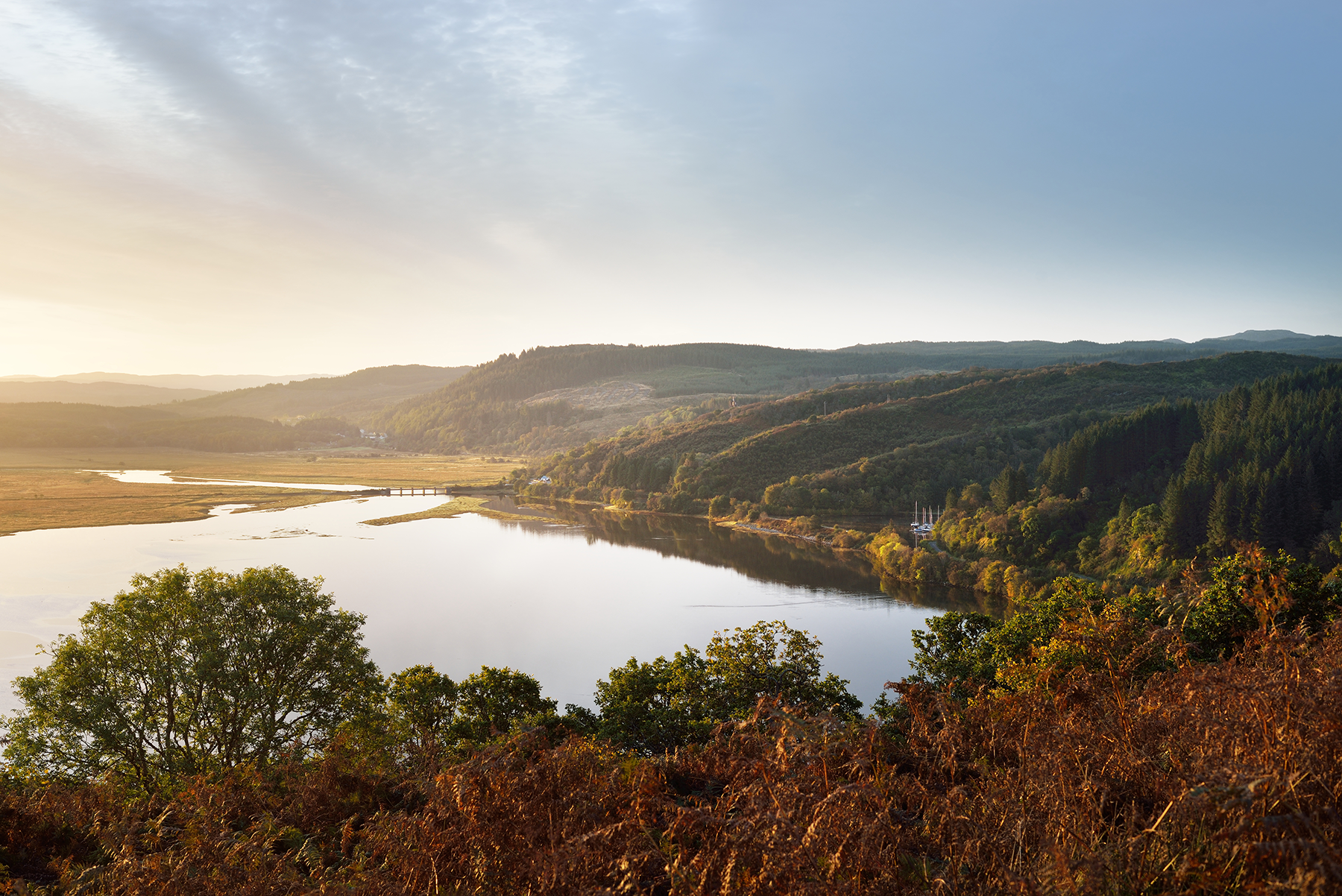 An aerial view of the Scottish rainforest at sunrise