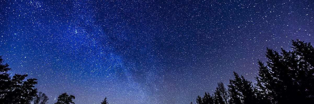starry autumn night