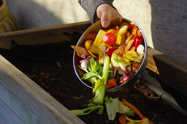 Person adds bowl of old vegetables into compost pile