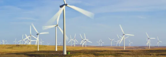 Whitelee Windfarm