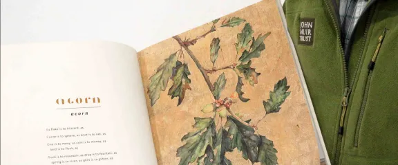 "The Lost Words" book opened at a page titled, 'acorn'.