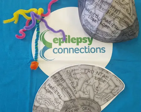 Epilepsy Connections - Pipe Cleaner Neuron and 'cut-out' brain model