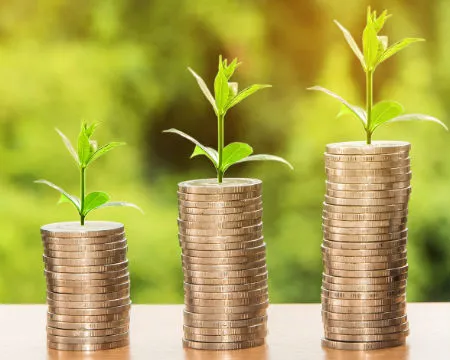 Stacks of coins with plant shoots rising from them, symbolising the circular economy