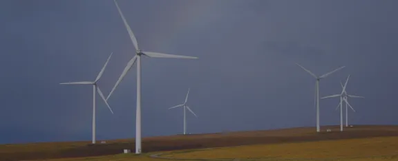 Banner image showing wind farm