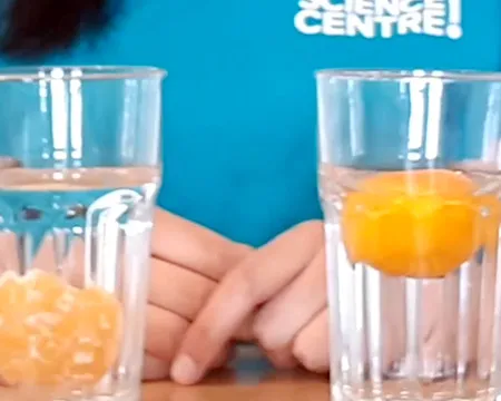 Glasses containing a peeled and unpeeled orange