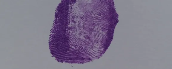 A fingerprint