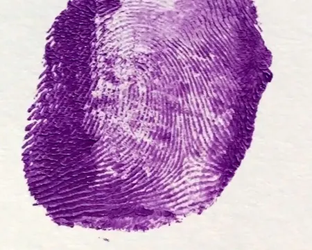 A fingerprint