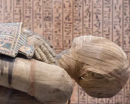Egyptian mummy close up detail with hieroglyphs background