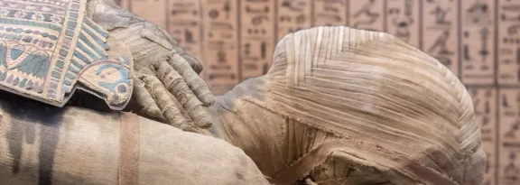 Egyptian mummy close up detail with hieroglyphs background