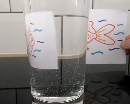 A drawing of a fish appears reversed as it passes behind a glass of water