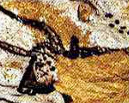 A cave painting of Taurus the bull