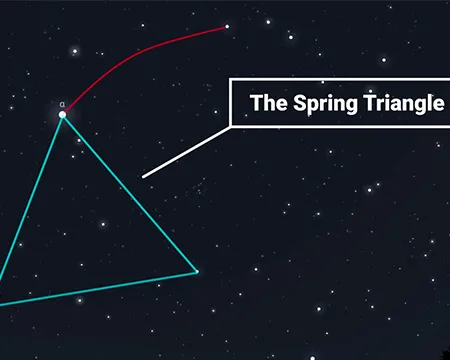 The Spring Triangle