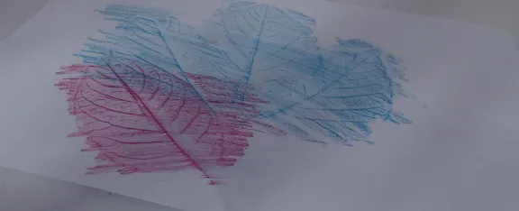 A crayon rubbing of leaves