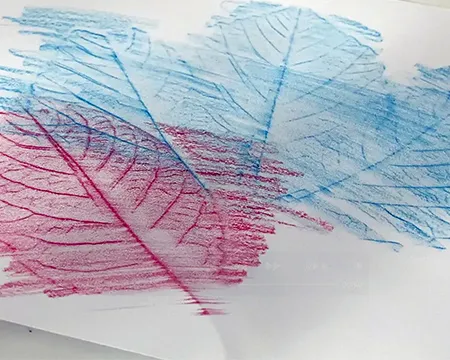 A crayon rubbing of leaves