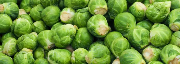 A pile of Brussels sprouts