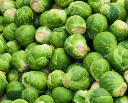 A pile of Brussels sprouts