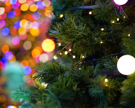 Light bulb on the Christmas tree with colourful bokeh background