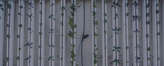 photo of vertical farming