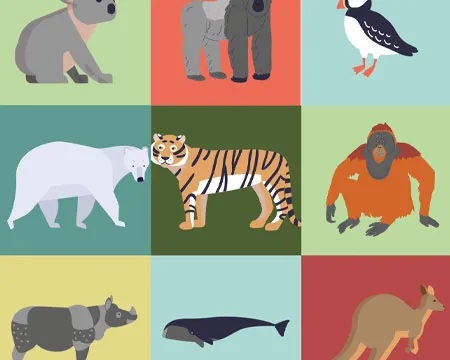 Illustrated grid of different species: koala bear, gorilla, puffin, polar bear, tiger, orangutang, rhinoceros, whale, kangaroo
