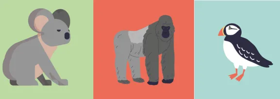 Illustrated grid of different species: koala bear, gorilla, puffin