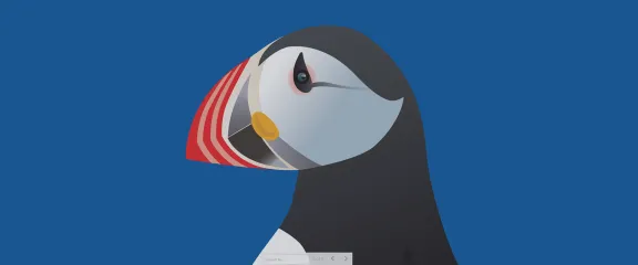 An illustration of a puffin