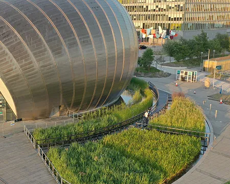 An aerial photo shows tall green plants emerging from a wetland area beside the silver building of the IMAX cinema. Image: HawkAye