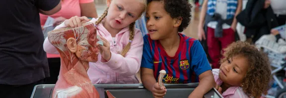 A young boy and girl piece together a 3D human head and neck jigsaw