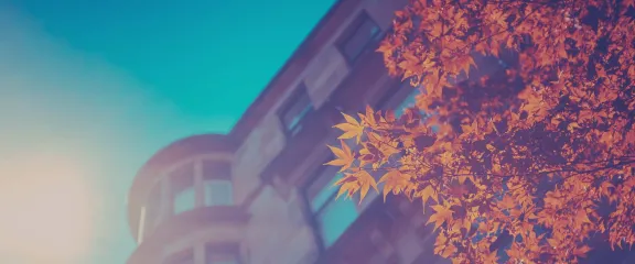 A Glasgow tenement in the sunshine with the leaves of a tree in foreground.