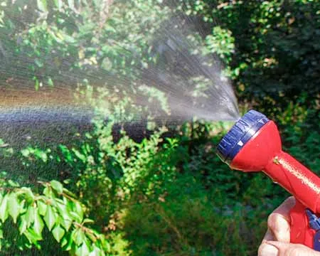 A rainbow created in the water mist from a garden hose