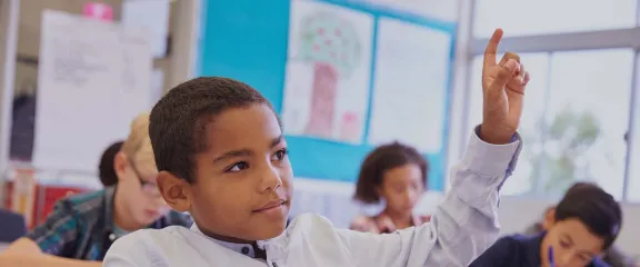 A pupil raises his hand in the classroom