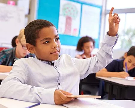 A pupil raises his hand in the classroom